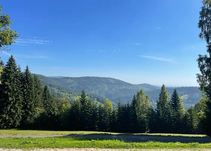 Casa de hóspedes Hejmovka *